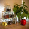 150 ml twist off glass jar Four Corners, lid fi 53 - 6 pcs - 8 ['jars', ' small jars', ' jar', ' glass jar', ' glass jars', ' jar with lid', ' jars for preserves', ' canning jars', ' jars for spices', ' jam jar', ' jar for jam', ' honey jar', ' jar for honey']