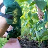 Knee pads for gardening - 6 ['knee pads', ' knee protectors', ' knee protection', ' knee pads for gardening', ' knee protectors for gardening']