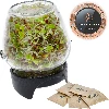 Twist-off sprouter for jars + 5 packs of seeds  - 1 ['sprouter', ' glass sprouter', ' sprout cultivation', ' jar sprouter', ' sprouting device', ' sprouter', ' radish sprouts', ' broccoli rabe', ' mung bean sprouts']