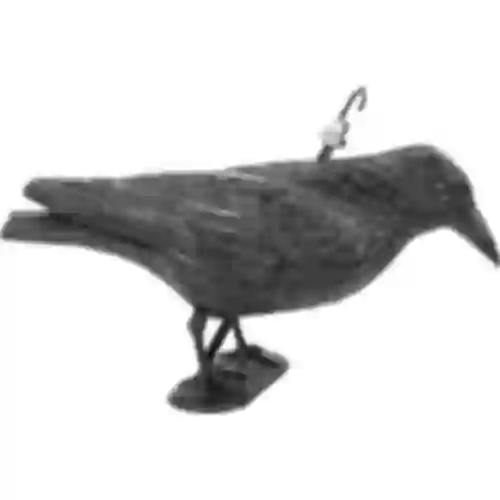 Sitting raven, bird repeller, natural size