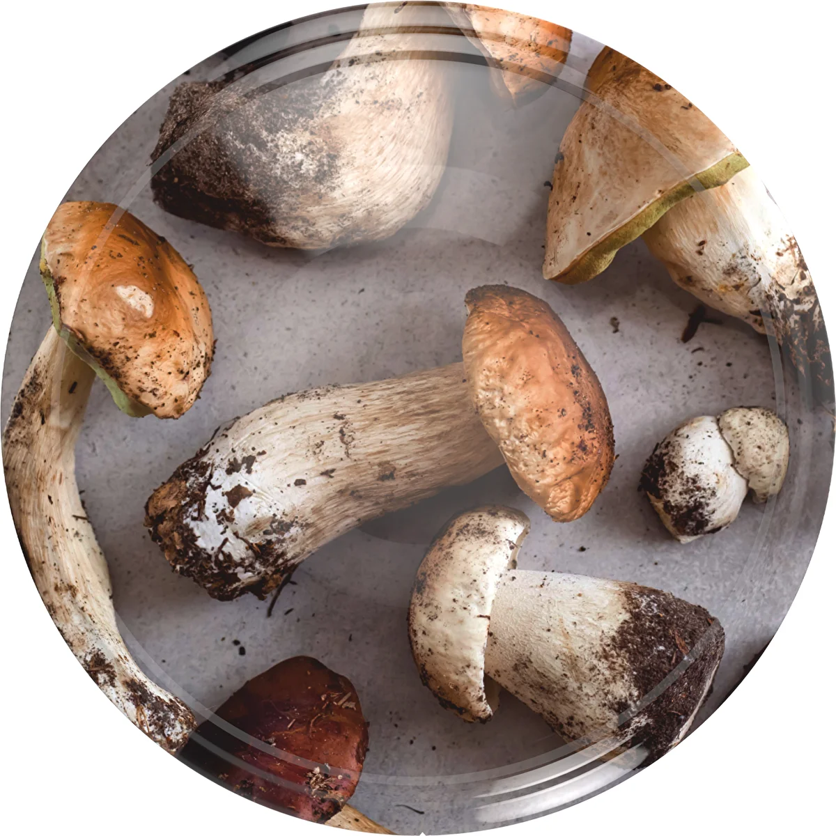 Twist off lid Ø66 , mushrooms 2 graphic- 10 pcs.