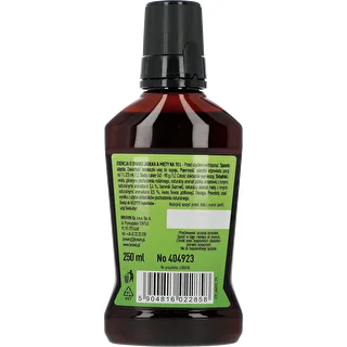 VLEYTO Mint & Apple – flavor essence with natural aromas, 250 ml – photo 2