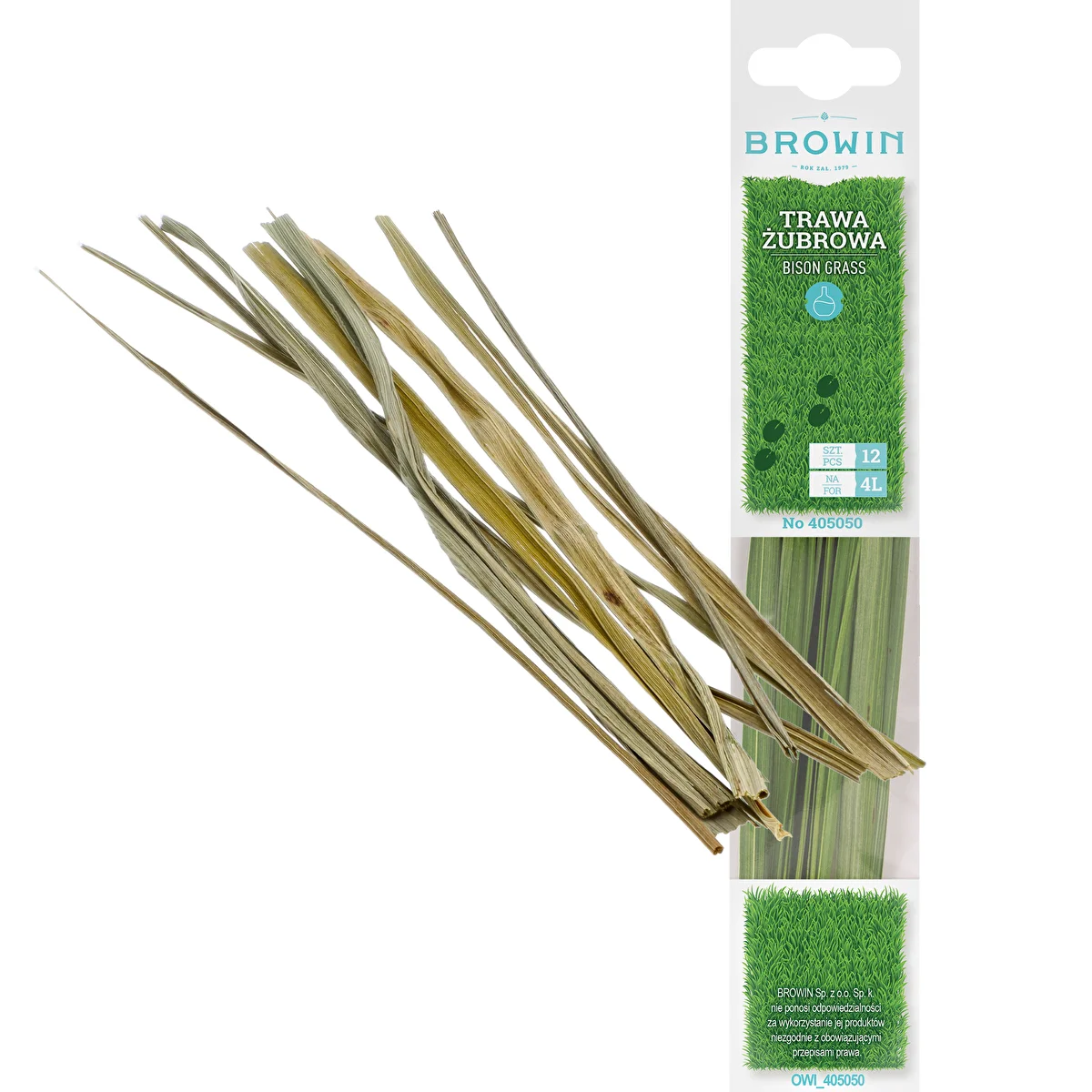 Bison grass - Hierochloe odorata , 12pcs. For 4l