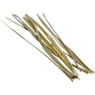 Bison grass - Hierochloe odorata , 12pcs. For 4l – photo 4