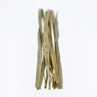 Bison grass - Hierochloe odorata , 12pcs. For 4l – photo 5