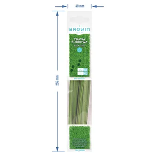 Bison grass - Hierochloe odorata , 12pcs. For 4l – photo 7