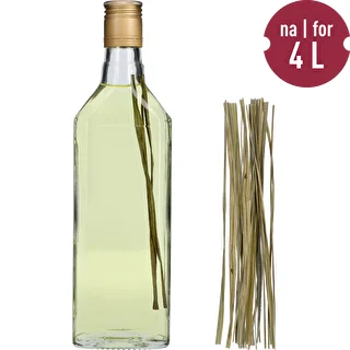 Bison grass - Hierochloe odorata , 12pcs. For 4l – photo 3