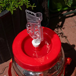 Bubbler plastic airlock with red dust cap, 6 chambers – photo 4
