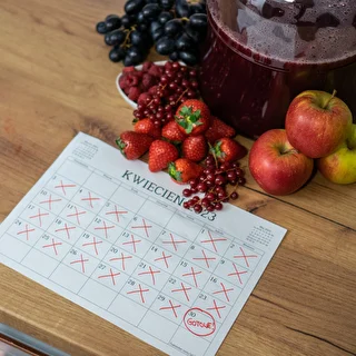 ViniTurbo - 20 g Fast fermentation kit – photo 6