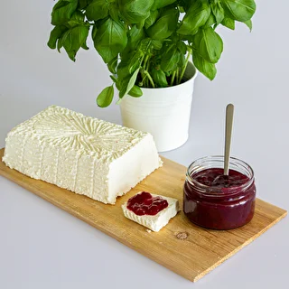 Bacterial cultures for Greek cheese – photo 3