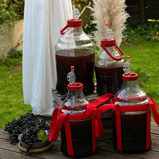Unbreakable Demijohn - 15 L with braces – photo 13