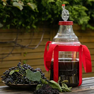 Unbreakable Demijohn - 15 L with braces – photo 8