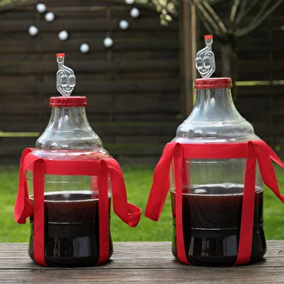 Unbreakable Demijohn - 25 L with braces – photo 9