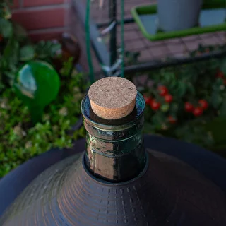 Natural tapered cork Ø43/50mm , agglomerate  – photo 4