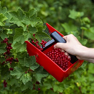 Berry Picker with Metal Teeth – photo 7