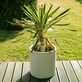 Bow plant support – 100 cm – photo 8