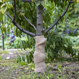 Jute tape 10 cm / 5 m – photo 5