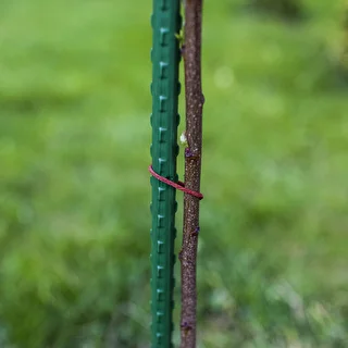 Bioogród Garden Stakes - Coated Steel, 1.5 m, Ø11 mm, pcs 10 – photo 5
