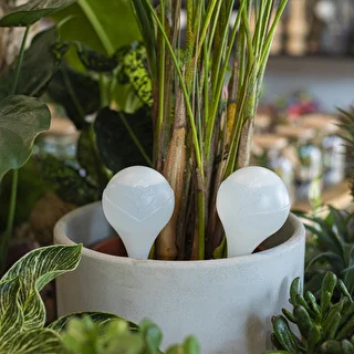 Plant watering globes, white, semi-transparent, 2 pcs – photo 7