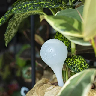 Plant watering globes, white, semi-transparent, 2 pcs – photo 9