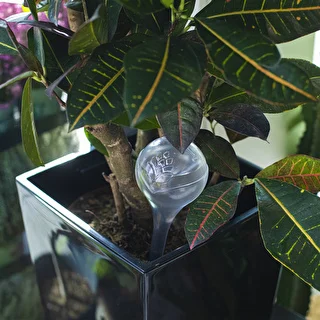 Plant watering globes, transparent, 4 pcs – photo 9