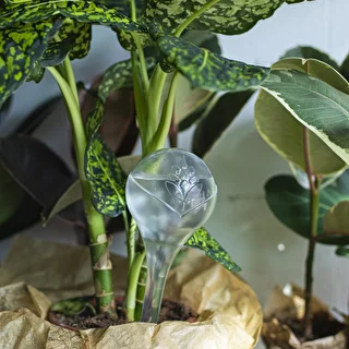 Plant watering globes, transparent, 4 pcs – photo 10