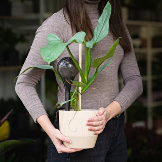 Plant watering globes, black, transparent, 400 ml, 2 pcs. – photo 12