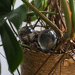 Plant watering globes, black, transparent, 400 ml, 2 pcs. – photo 14