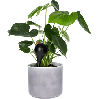 Plant watering globes, black, matt, with a plug, 4 pcs – photo 7