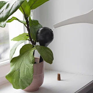 Plant watering globes, black, matt, with a plug, 4 pcs – photo 12