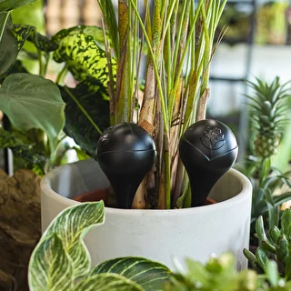 Plant watering globes, black, matt, with a plug, 4 pcs – photo 9