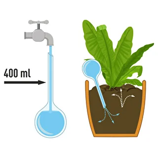 Plant watering globes, black, matt, 400 ml, 2 pcs – photo 5