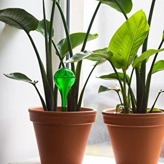 Plant watering globes, green, transparent, 400 ml, 4 pcs – photo 8