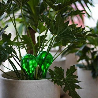 Plant watering globes, green, transparent, 400 ml, 4 pcs – photo 12