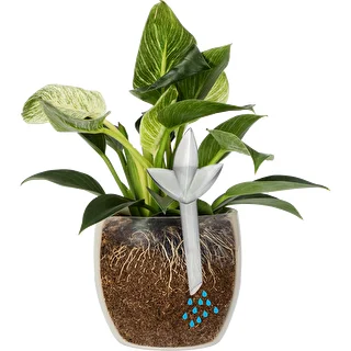 Plant irrigator - leaf transparent, 120 ml – photo 5