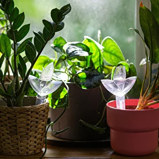 Plant irrigator - leaf transparent, 120 ml – photo 9
