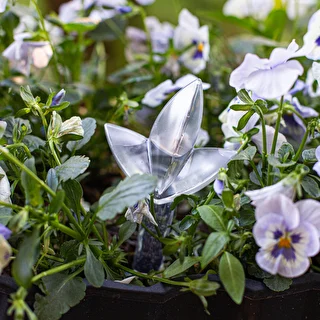 Plant irrigator - leaf transparent, 120 ml – photo 8