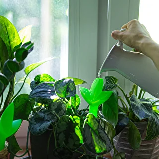 Plant irrigator - leaf green with ceramic spike, 120 ml – photo 8