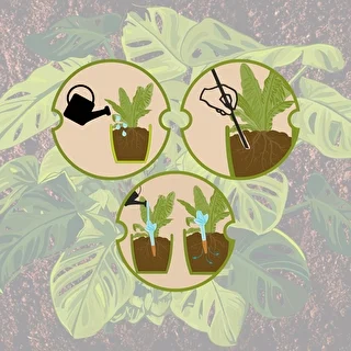 Plant irrigator - leaf transparent with ceramic spike, 120 ml – photo 12