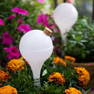 Plant watering globes, white, semi-transparent with a plug, 4 pcs – photo 11
