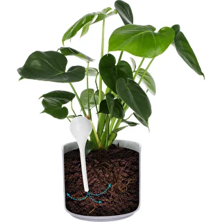 Plant watering globes, white, semi-transparent with a plug, 4 pcs – photo 6