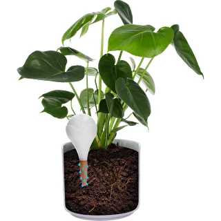Plant watering globe, matt white, with a ceramic spike, 400 ml – photo 6