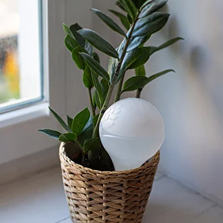 Plant watering globe, matt white, with a ceramic spike, 400 ml – photo 11