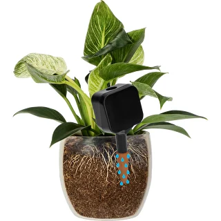 Plant irrigator - black box with ceramic spike, 200 ml – photo 6