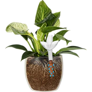 Plant irrigator - leaf transparent with ceramic spike, 120 ml – photo 6