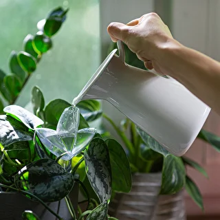 Plant irrigator - leaf transparent with ceramic spike, 120 ml – photo 8