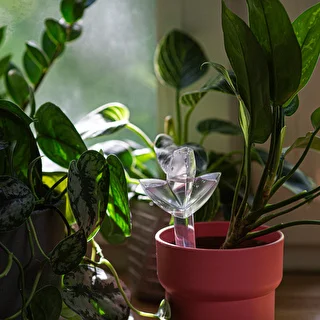 Plant irrigator - leaf transparent with ceramic spike, 120 ml – photo 9
