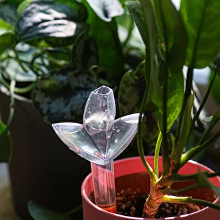 Plant irrigator - leaf transparent with ceramic spike, 120 ml – photo 10