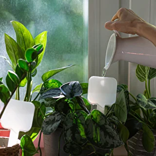 Plant irrigator - white box, 200 ml – photo 8