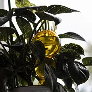 Triple Watering Globe (Three-Chamber), Transparent Yellow, 600 ml – photo 7
